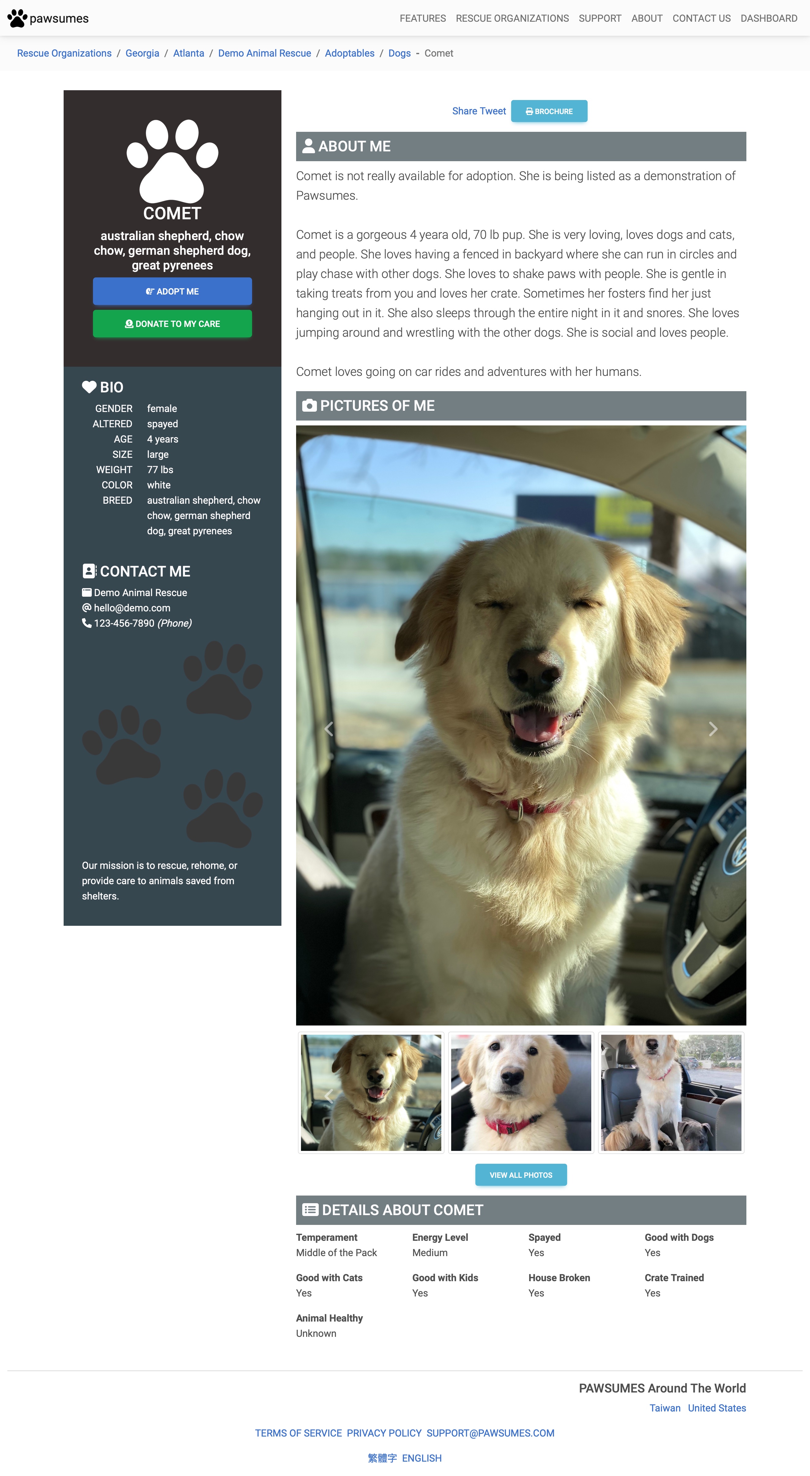 Template 1 - Animal Landing Page