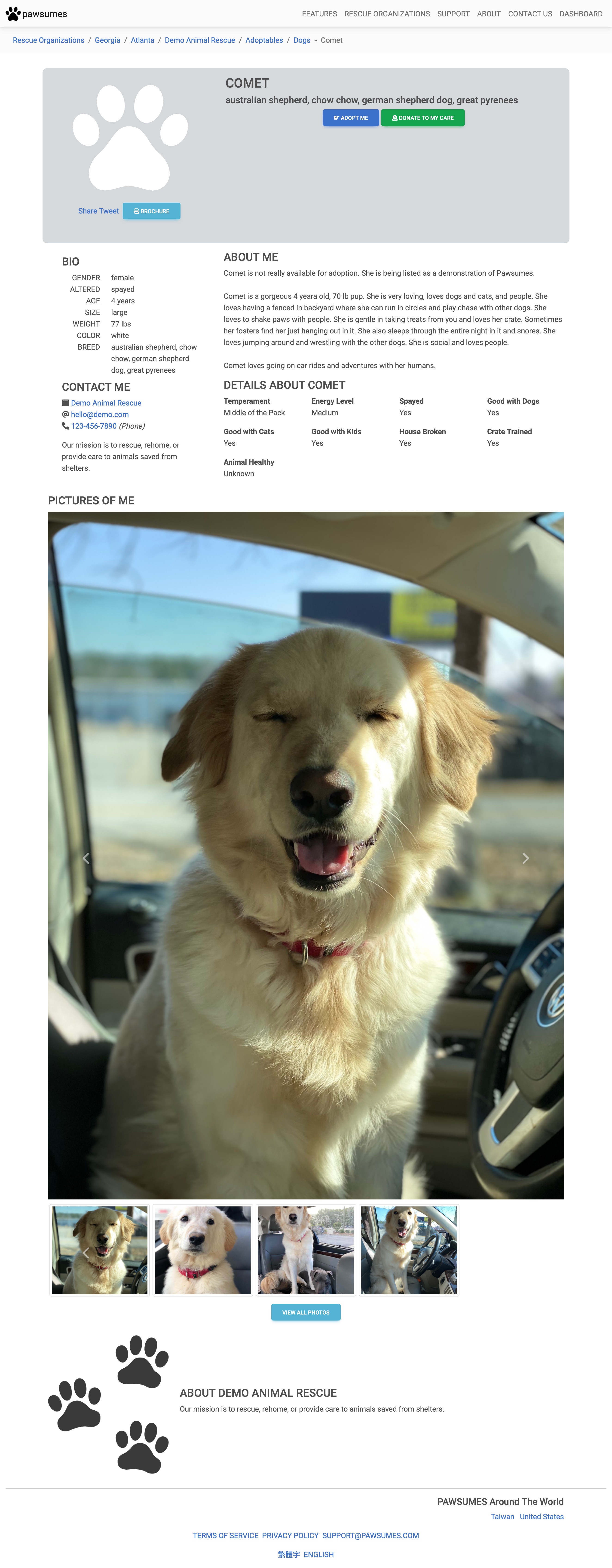 Template 2 - Animal Landing Page