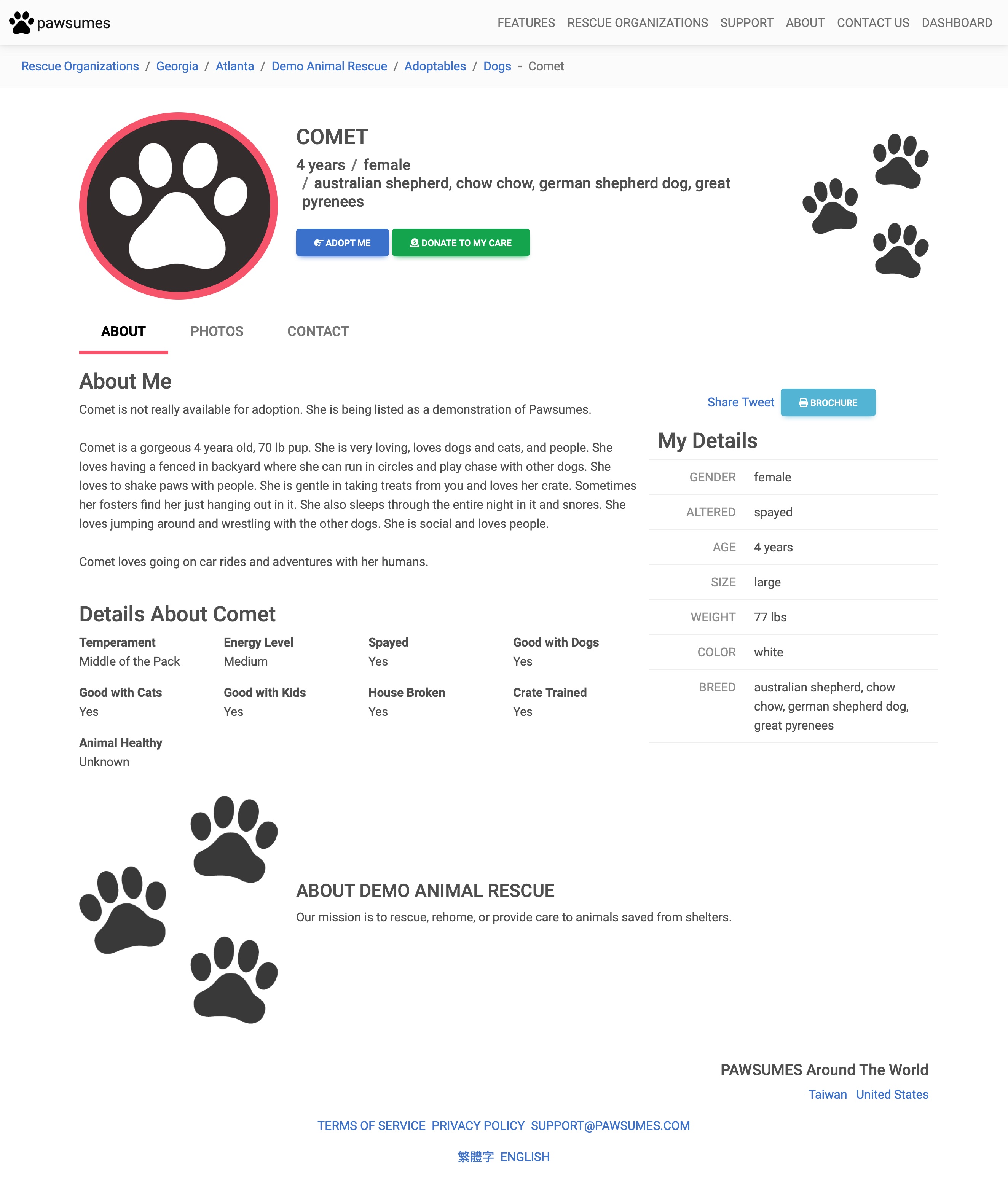 Template 3 - Animal Landing Page