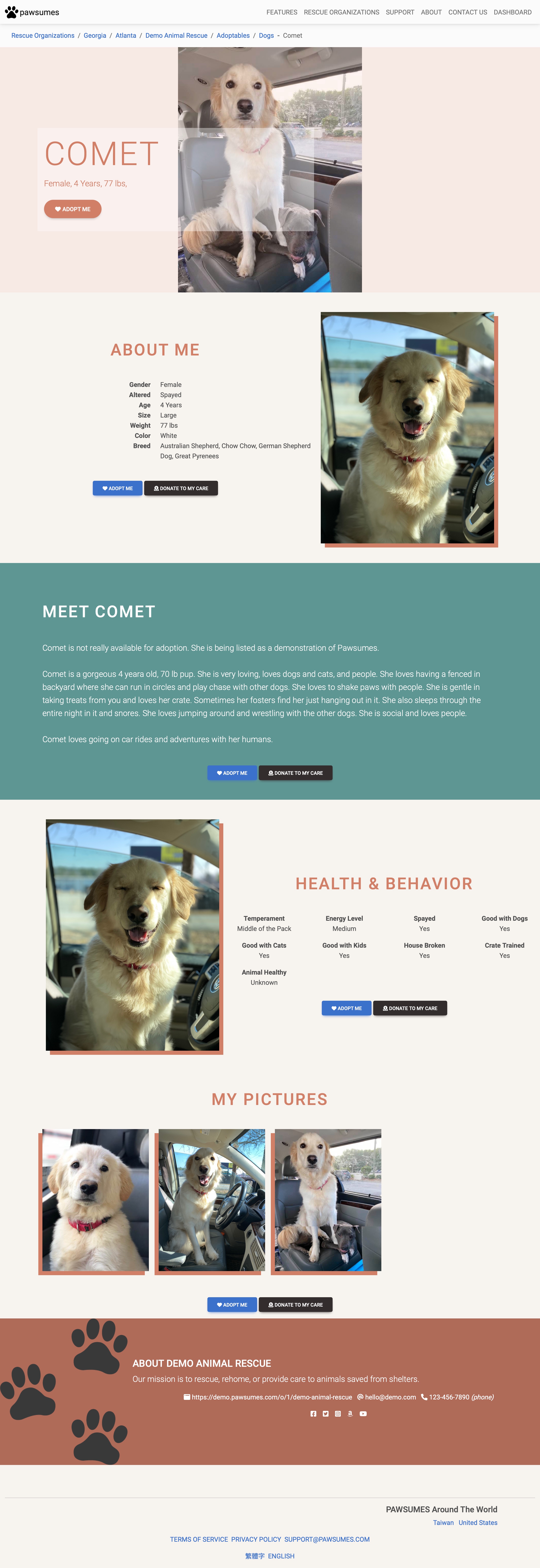 Template 4 - Animal Landing Page