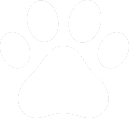 Demo Animal Rescue - Comet